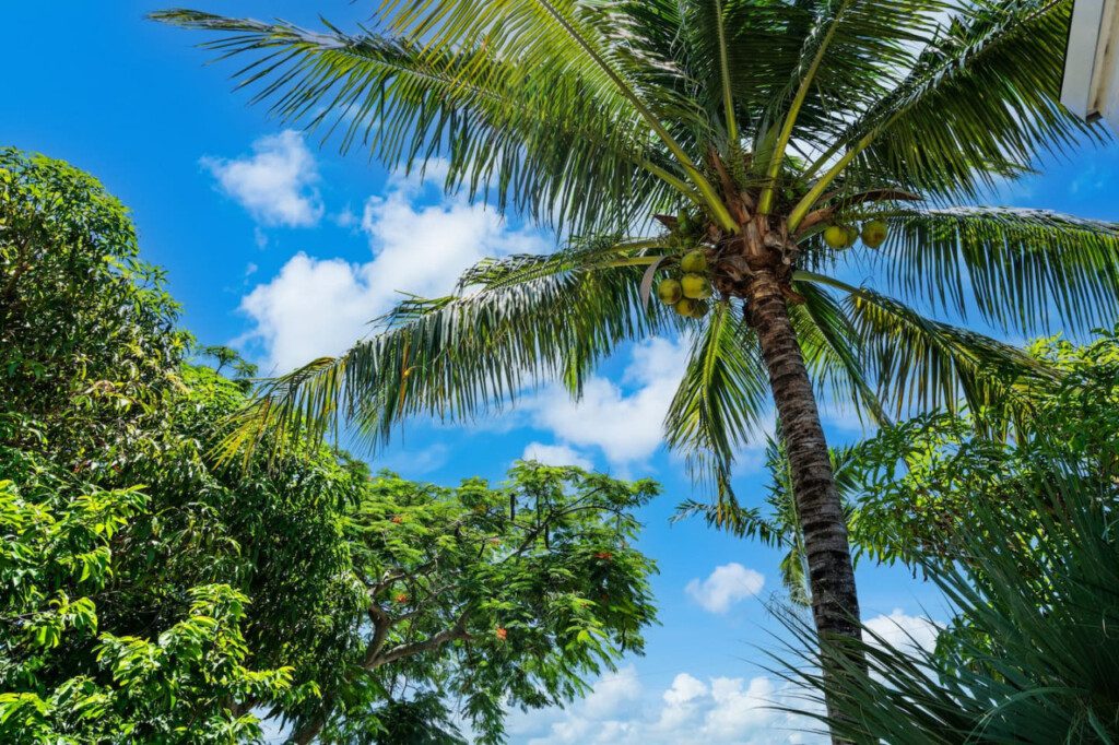 57133 279939 BlfDLk0MF2wm6tm7SNt 3qt1ln1E6ScRwpzJiioJNSg 66b2ca37b4e8b.jpg